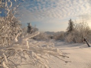 Зимой. фото В. Лейриха